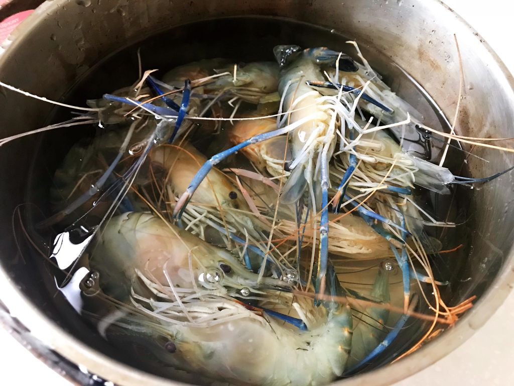 白灼虾🦐的加工步骤