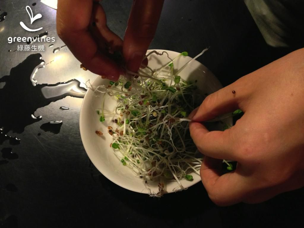 [绿藤芽食谱] 鲑鱼芽菜卷的加工步骤