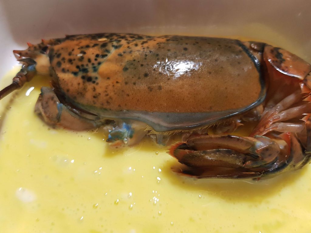 芝士龙虾焗面🦞的加工步骤