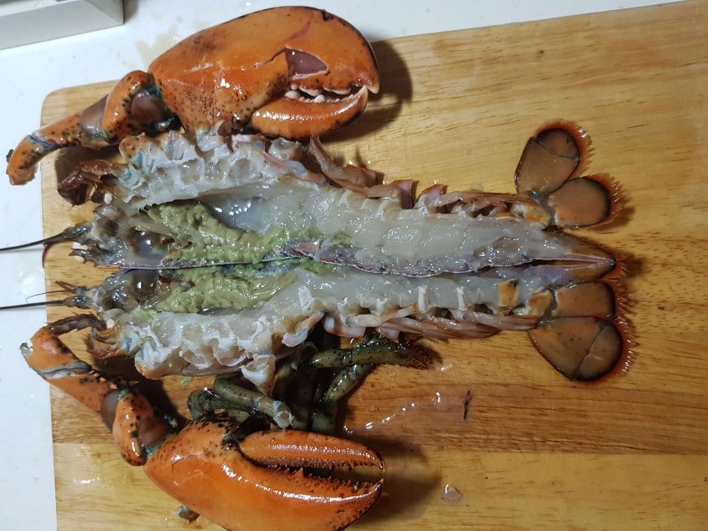 芝士龙虾焗面🦞的加工步骤