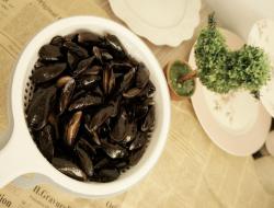 巴黎淡菜锅：Moule/Mussel