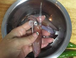 醋酱小卷 Squid Adobo