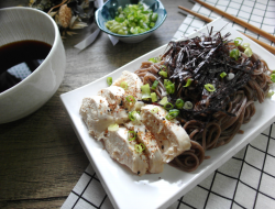 【面食料理】日式荞麦面(10分钟料理)