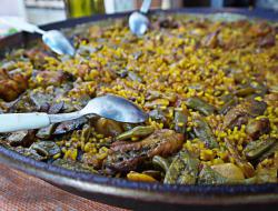 PAELLA VALENCIANA 传统水稻的瓦伦西亚（西班牙）