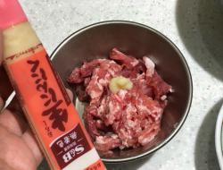 蒜辣肉丝炒豆芽生蒜泥酱 