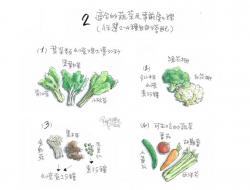 蔬果绿拿铁-手绘食谱