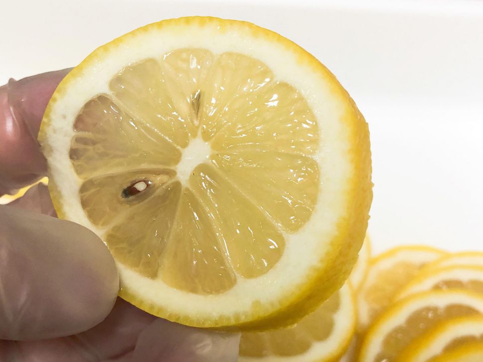 🍋柠檬糖渍气泡水🍹夏日冰饮🧊的加工步骤