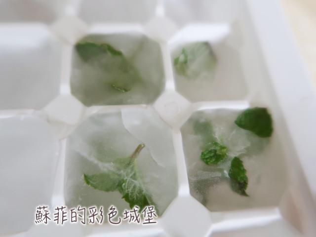 透心凉【新鲜薄荷荔枝茶】的加工步骤