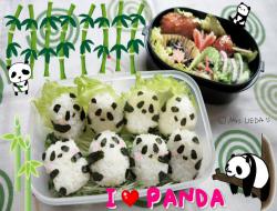 ♥上田太太爱困哈欠便当♥( I ♥ PANDA篇)