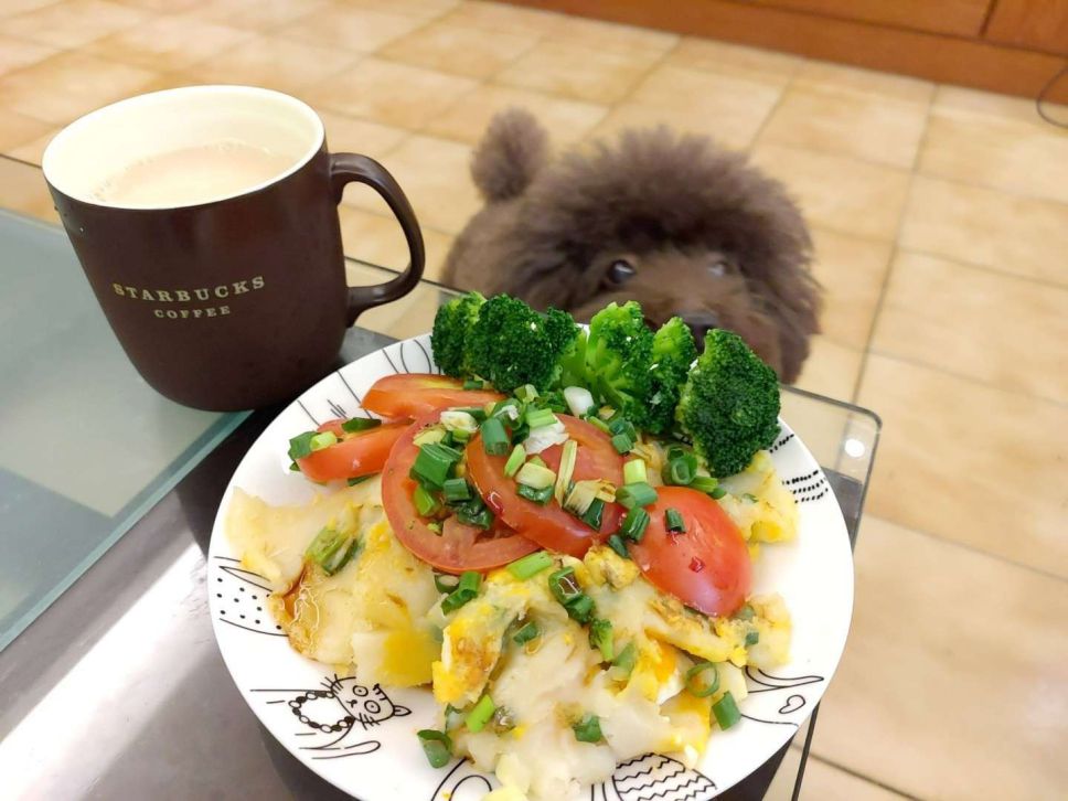 【自制饼皮】古早味粉浆葱蛋饼的加工步骤