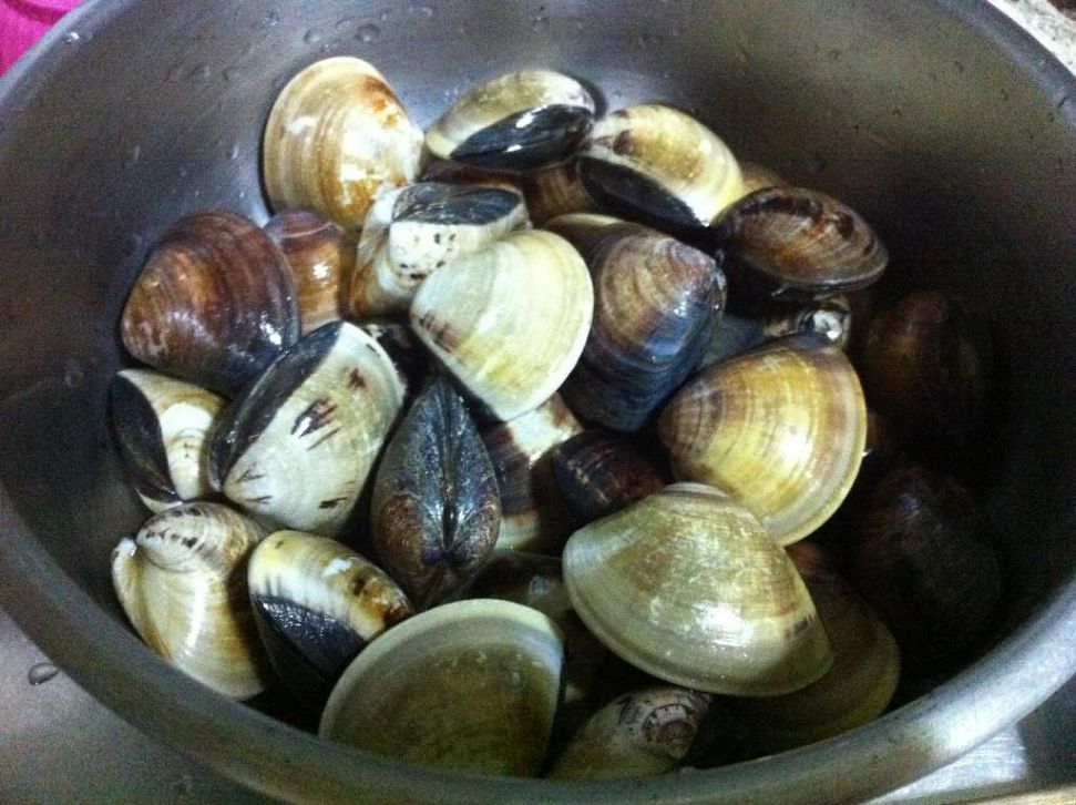 深夜食堂，酒蒸蛤蜊 あさりの酒蒸し的加工步骤