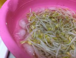 健康减肥菜～【海菜凉拌绿豆芽】