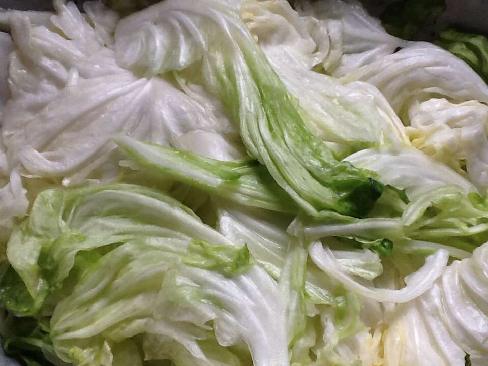 台式高丽泡菜的加工步骤