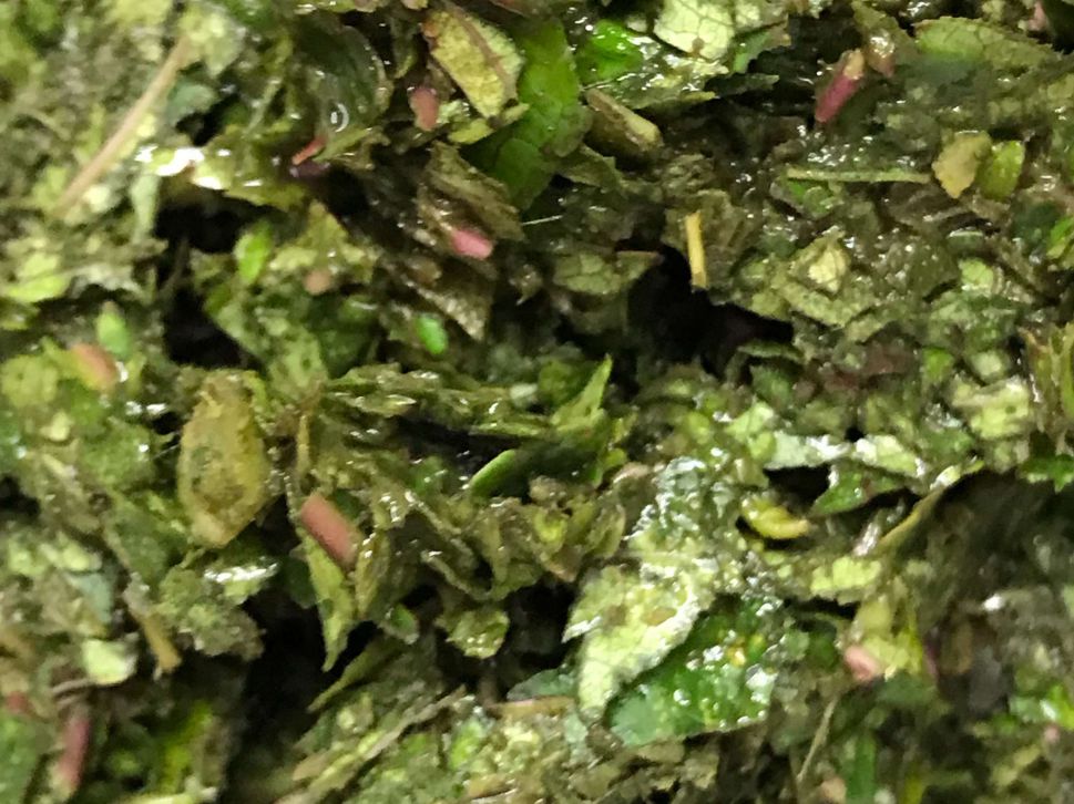 刺葱柴菇黑豆拌面酱（全素）的加工步骤