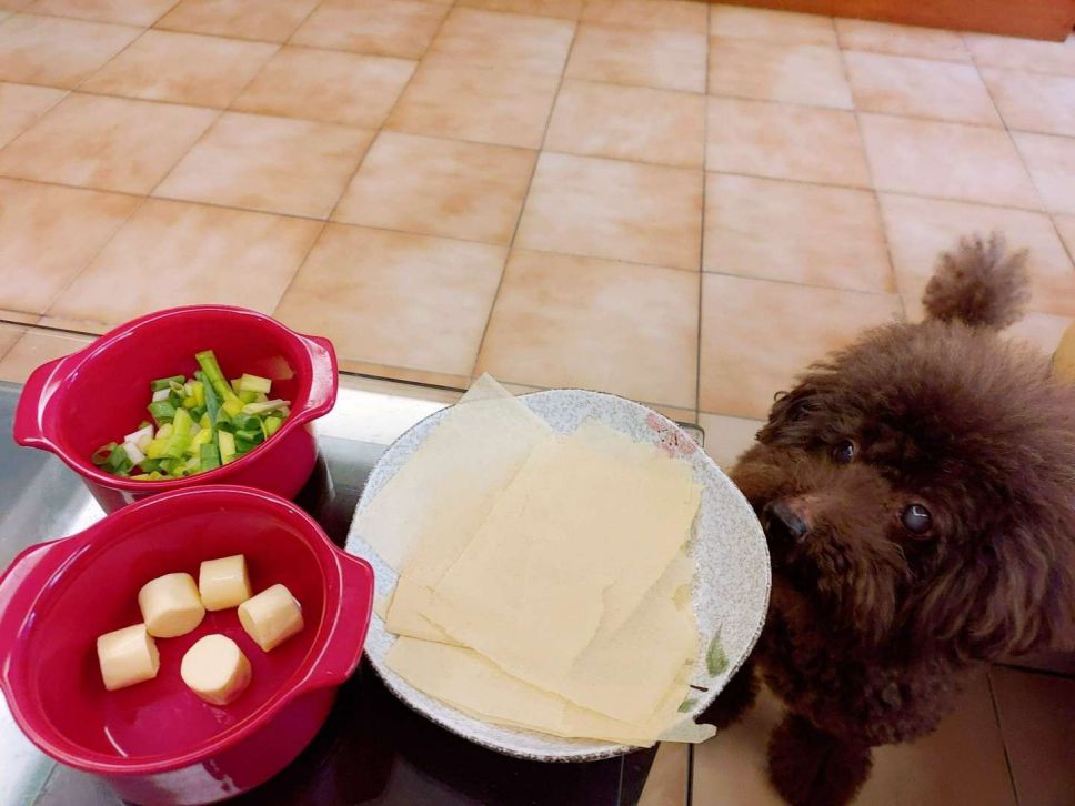 【减糖千张】起司蛋饼🧀的加工步骤