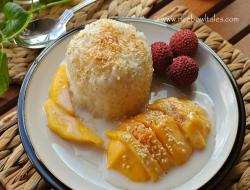 芒果椰汁糯米饭《 泰式甜品 》  Mango &amp; Coconut milk Sticky Rice