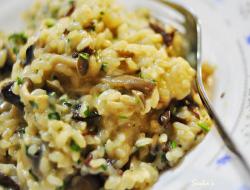 义式野菇炖饭 mushroom risotto