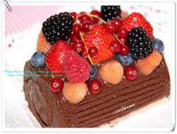 法国莓浆果巧克力蛋糕卷 Gâteau Roulé aux Fruits Rouges et au Chocolat